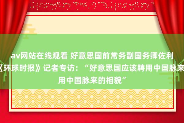 av网站在线观看 好意思国前常务副国务卿佐利克继承《环球时报》记者专访：“好意思国应该聘用中国脉来的相貌”
